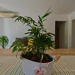 With Parking Space - 23167 تْسْغيكفانِتْسا