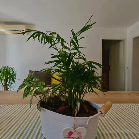 With A Parking Space - 23167 Crikvenica