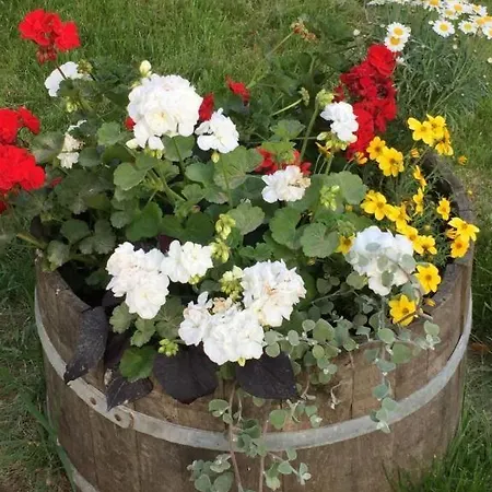 Apartment With Parking Space - 23167